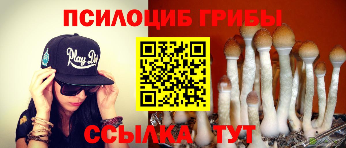 Псилоцибиновые грибы GOLDEN TEACHER Котлас